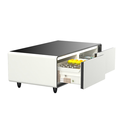 PRIMST 2024 Mini Refrigerador de mesa congelador de descongelación automática mesa de café inteligente para el salón