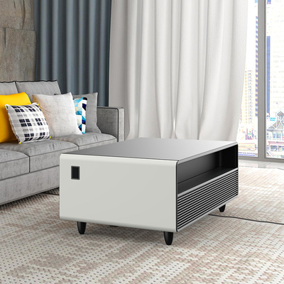 Refrigerador de muebles inteligentes con capacidad de carga de botellas 70-80 y altavoz incorporado