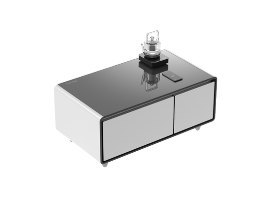 2024 Refrigerador inteligente de mesa de café con rango de temperatura de 3 8 C/6- 12 C NO plegado